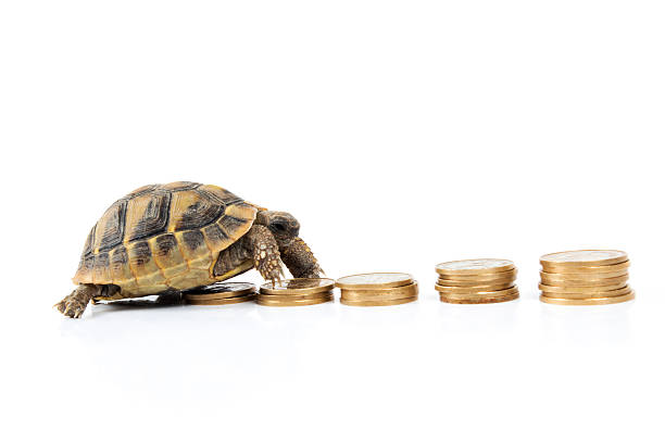 The Tortoise And The Titan: Is Time More Powerful Than Money?